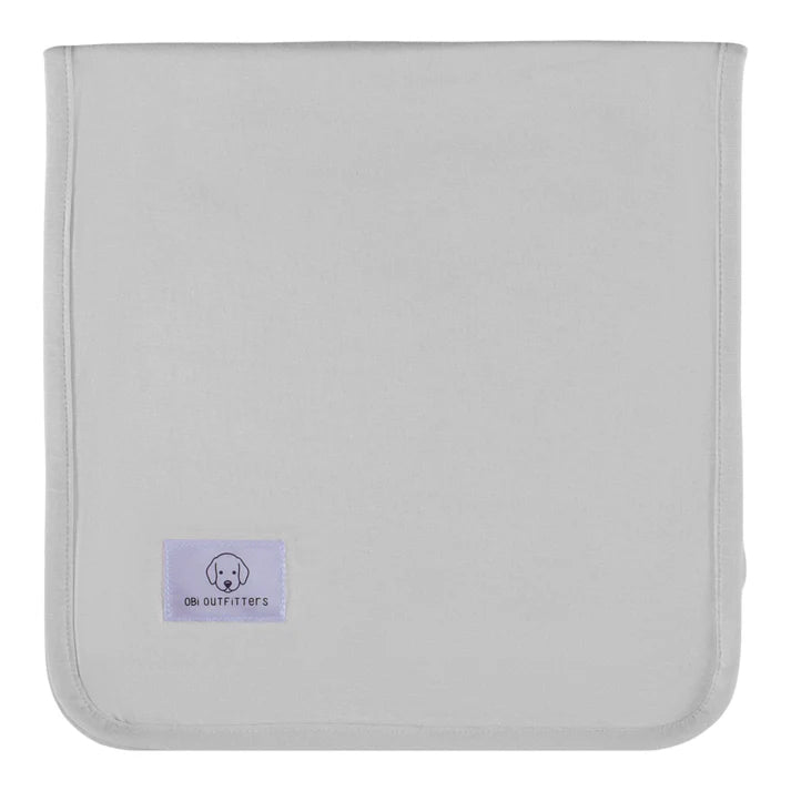 Blue Mist & Silver Bib & Burp Cloth Set