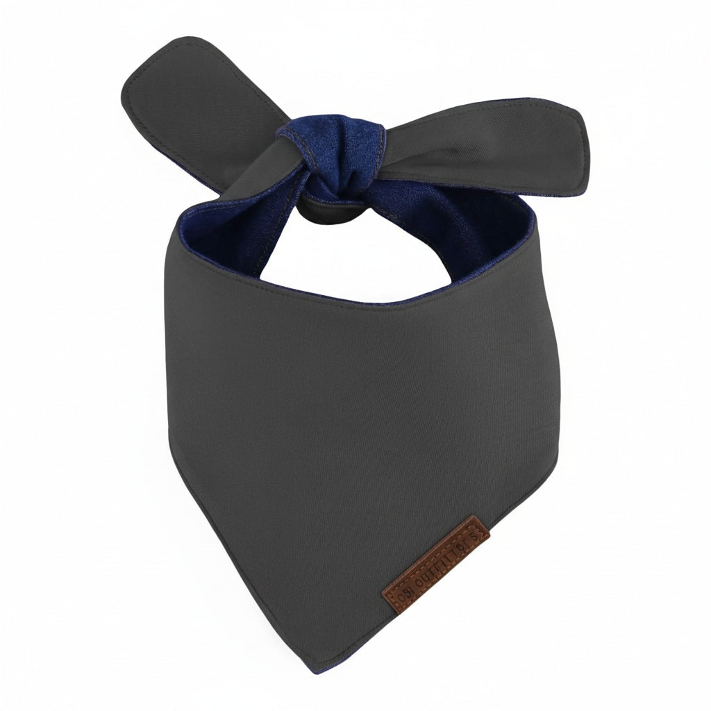 premium puppy bandana stone