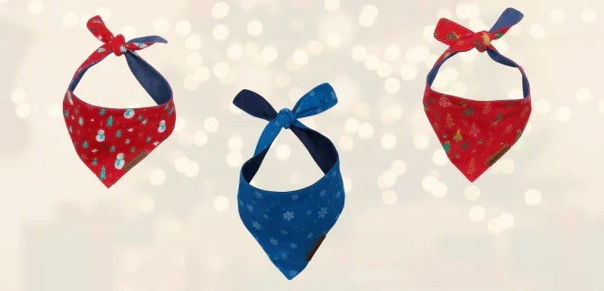 10 Cutest Ways to Style Your puppy & dog's Christmas Bandana for Holiday Photos