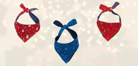 10 Cutest Ways to Style Your puppy & dog's Christmas Bandana for Holiday Photos