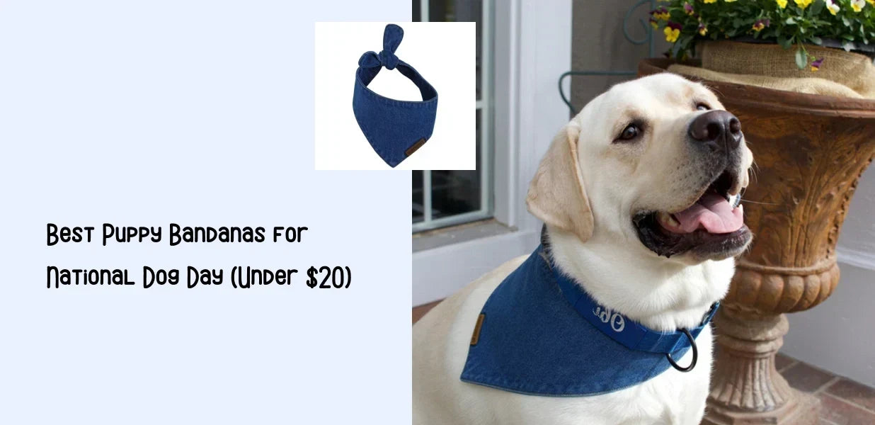 Best Puppy Bandanas for National Dog Day (Under $20)