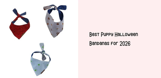 Best Puppy Halloween Bandanas for 2026