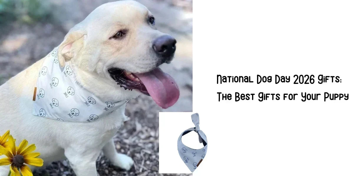 National Dog Day 2026 Gifts: The Best Gifts for Your Puppy