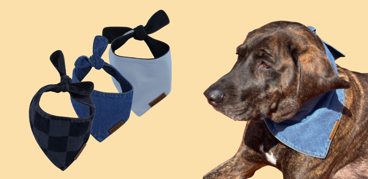 Best puppy & dog bandana fabrics: A guide to comfort and durability