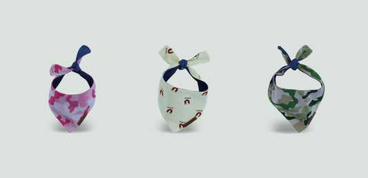 How to wash and care for your puppy’s bandana