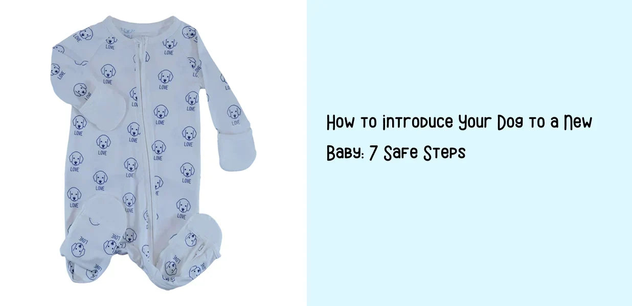 How to Introduce Your Dog to a New Baby: 7 Safe Steps