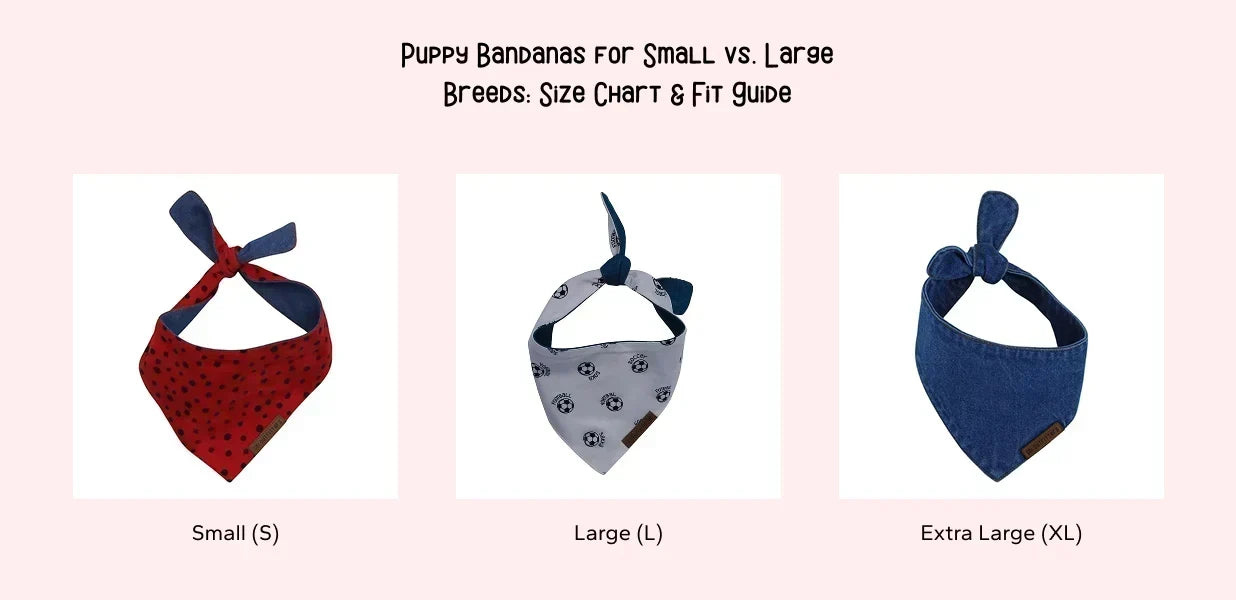 Puppy Bandanas for Small vs. Large Breeds: Size Chart & Fit Guide