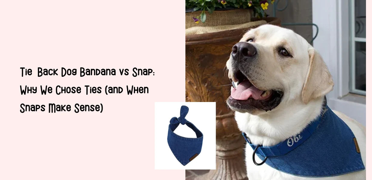 Tie-Back Dog Bandana vs Snap: Why We Chose Ties (and When Snaps Make Sense)