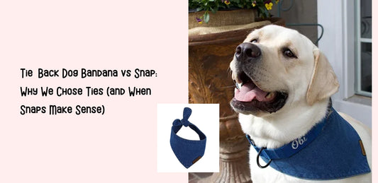 Tie-Back Dog Bandana vs Snap: Why We Chose Ties (and When Snaps Make Sense)