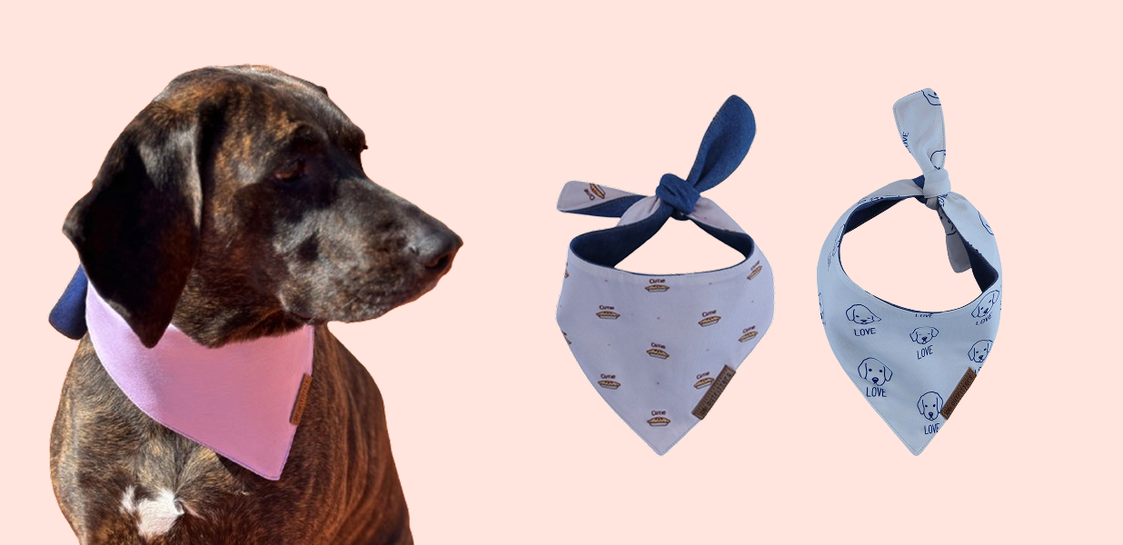 Top Puppy & Dog Bandana Buying Mistakes