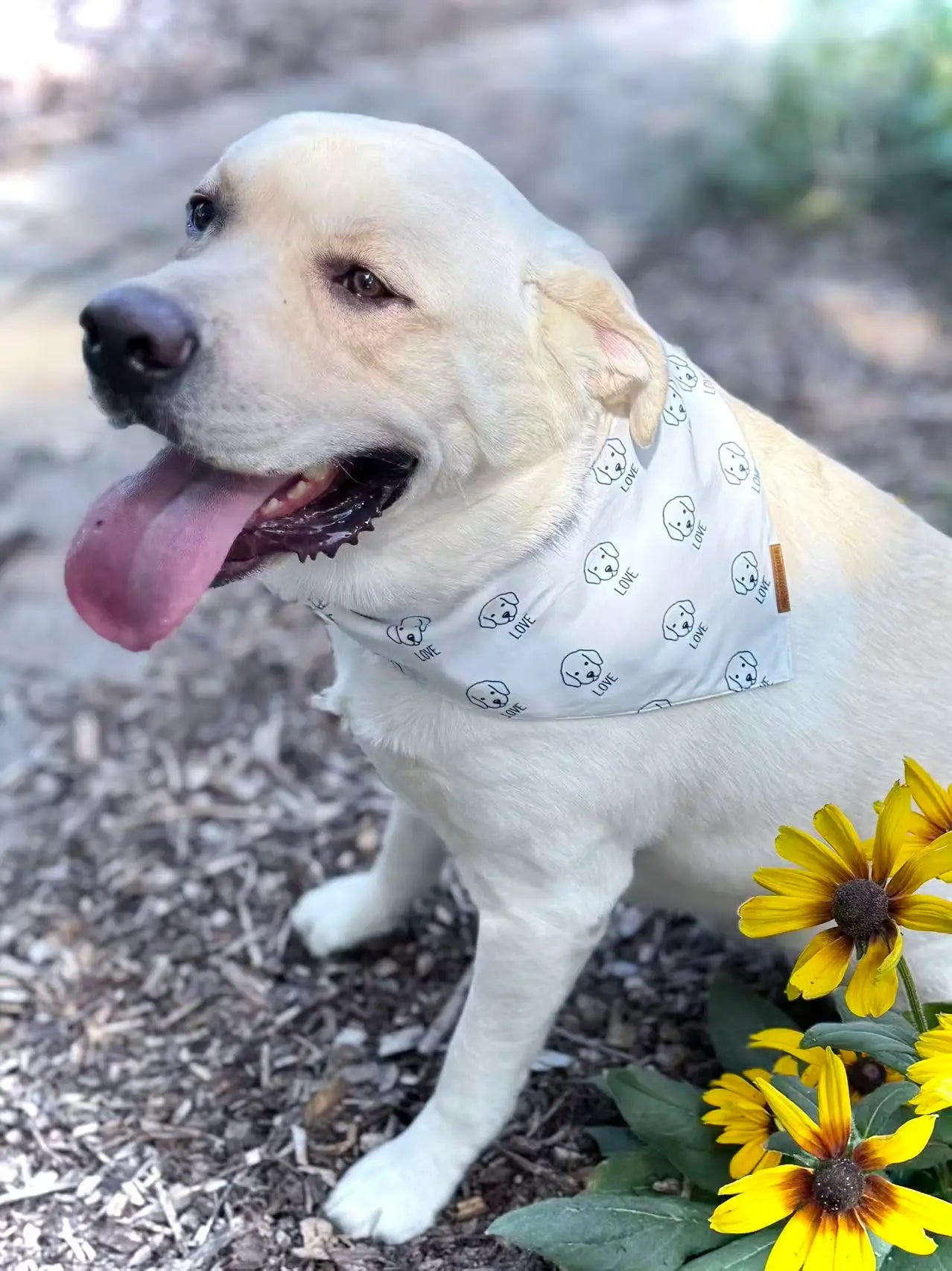 premium puppy bandana blue obi love collection