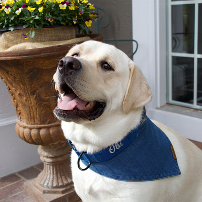 premium puppy bandana blue denim classic collection