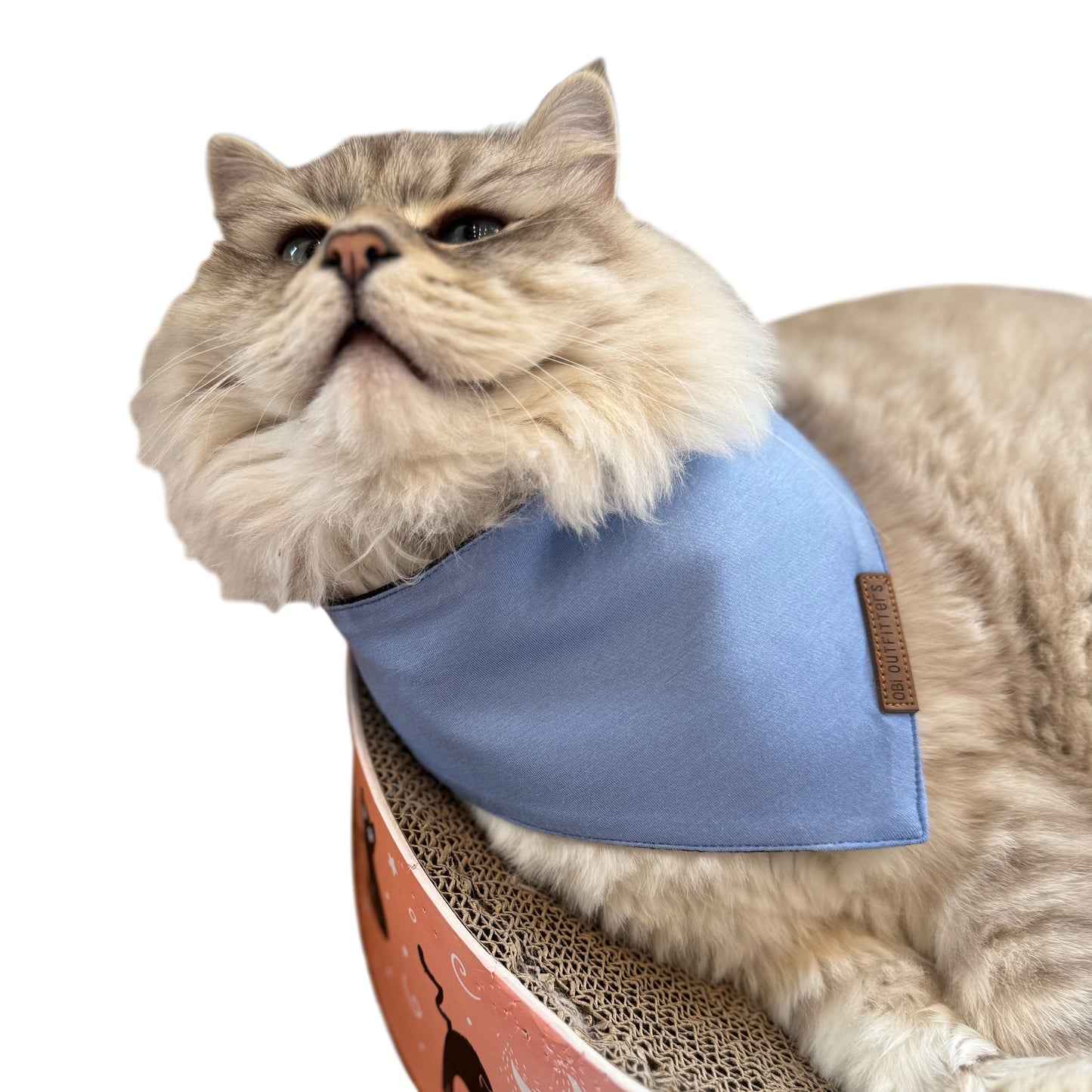 premium puppy bandana baby blue mist