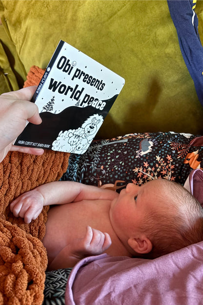 Baby First High Contrast Book