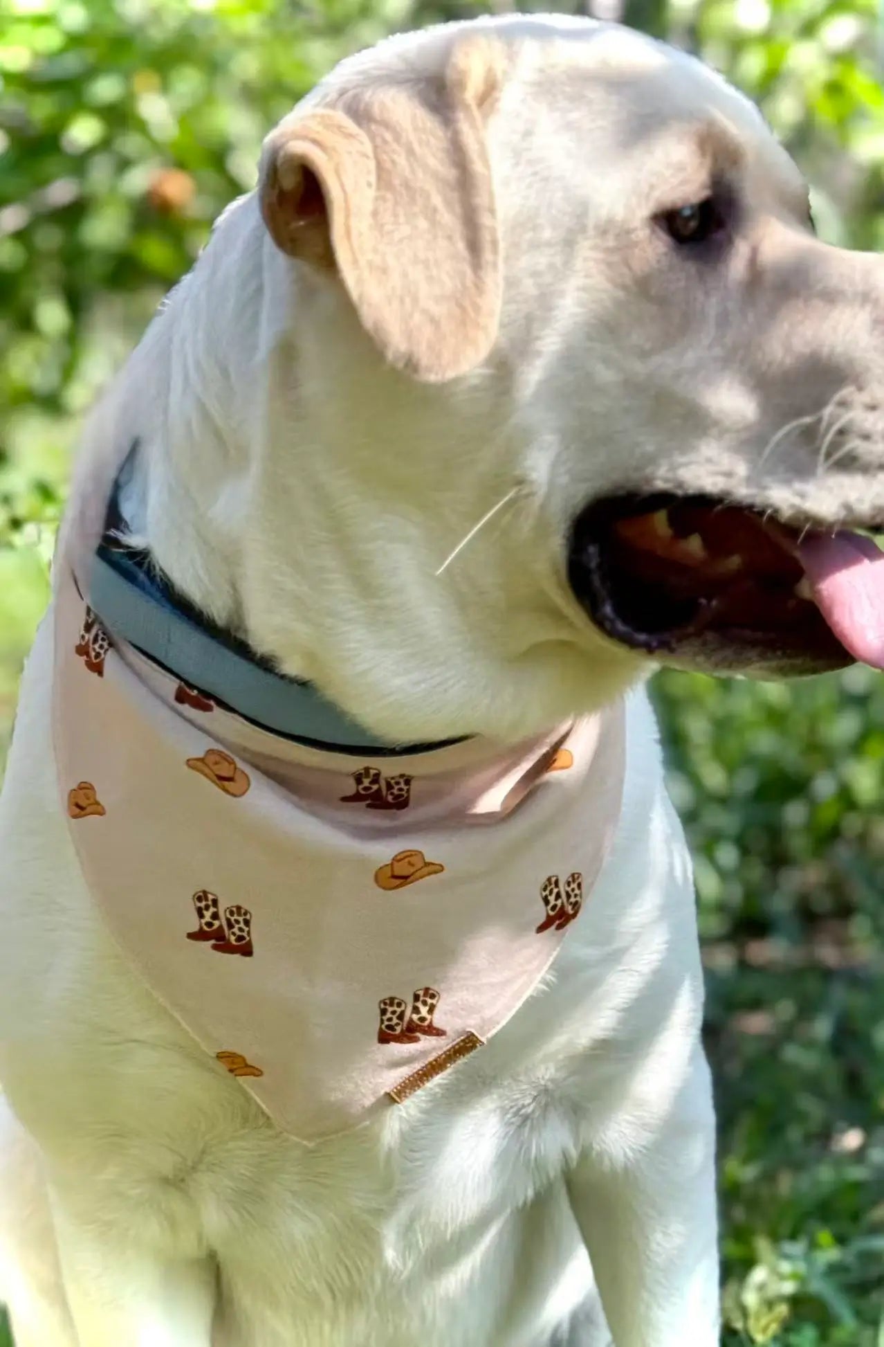 Cowboy Print Puppy Bandana