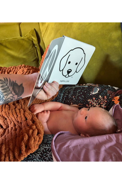 Infant Visual Stimulation Book