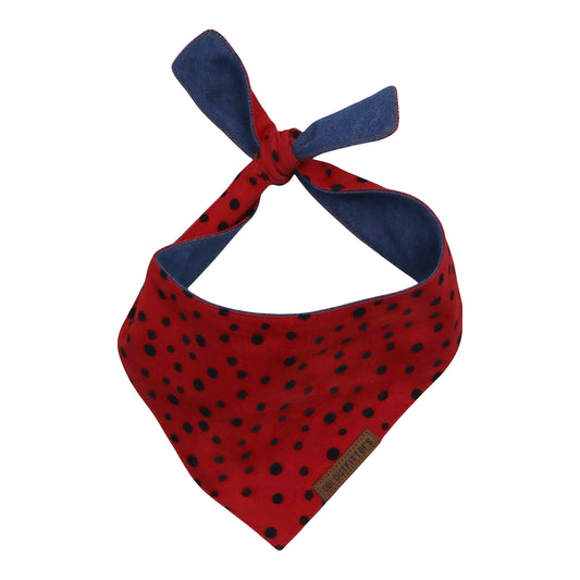 ladybug puppy bandana