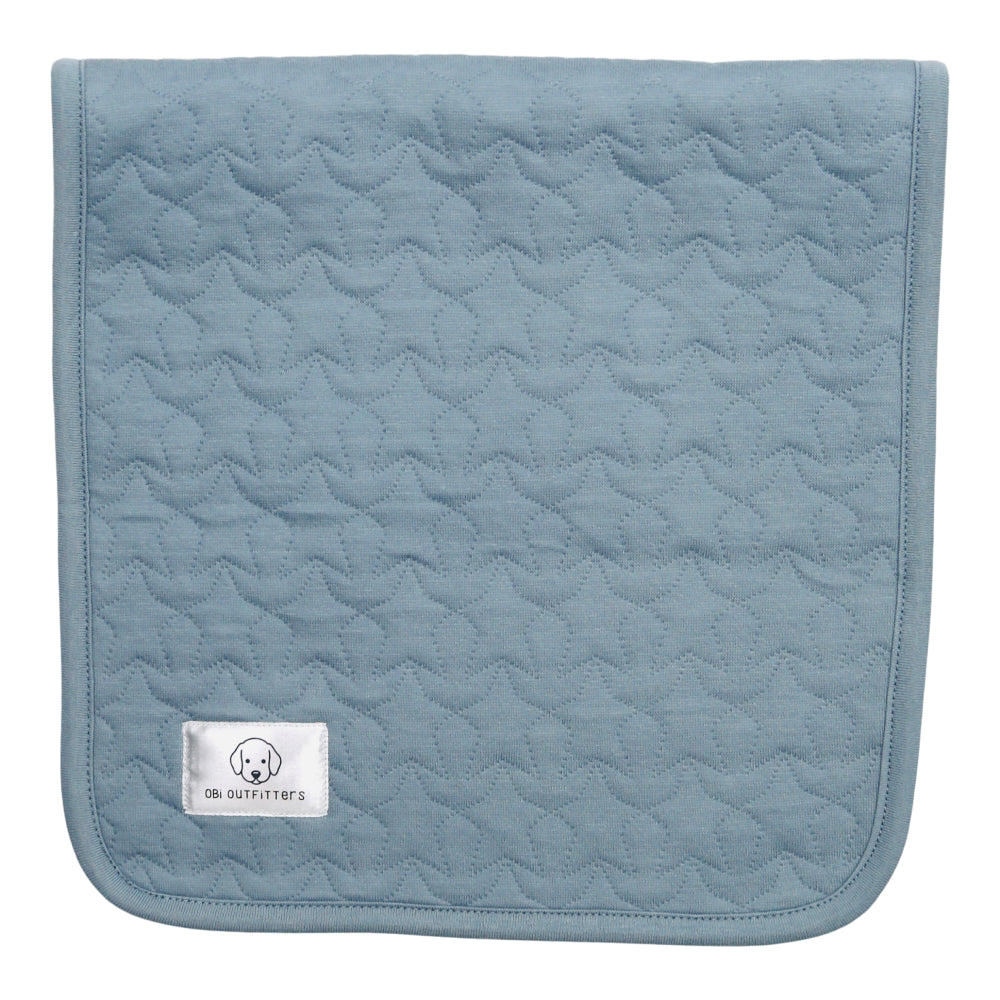 organic cotton quilted burp cloth ocean breeze boy girl