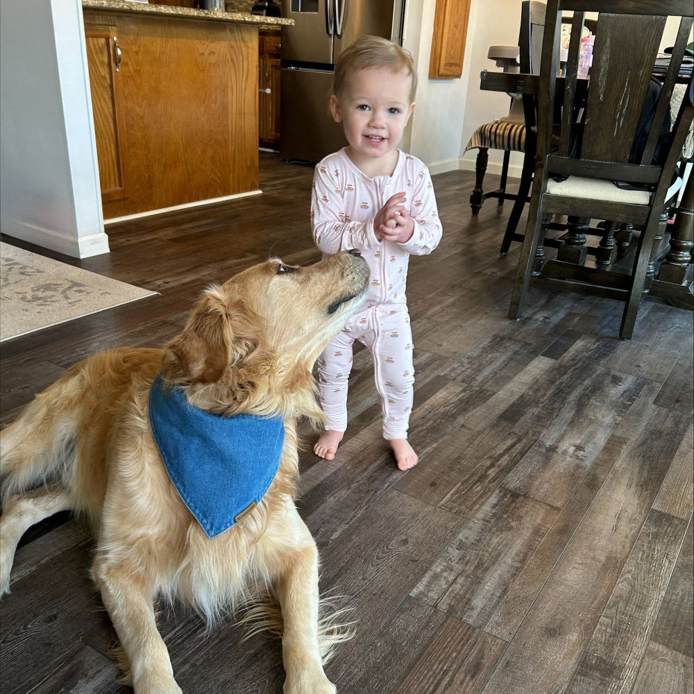 premium puppy bandana blue denim classic collection