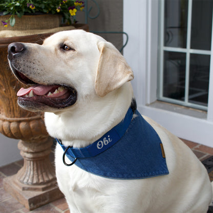 premium puppy bandana blue denim classic collection
