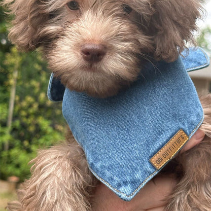 stylish blue denim dog scarf